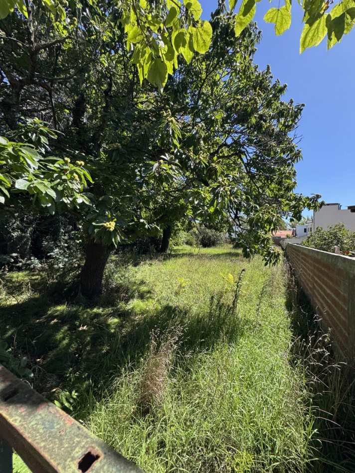 EXCELENTE LOTE EN VENTA EN BARRIO LOS TRONCOS
