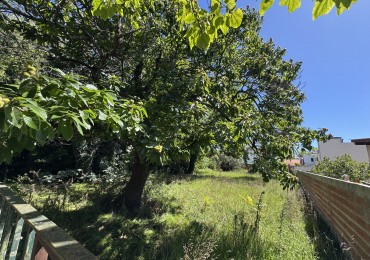 VENTA | EXCELENTE LOTE DE 840 M2  EN BARRIO LOS TRONCOS 