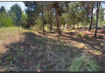 VENTA Gran lote en barrio de categoria Senderos III Costa Esmeralda Pinamar 