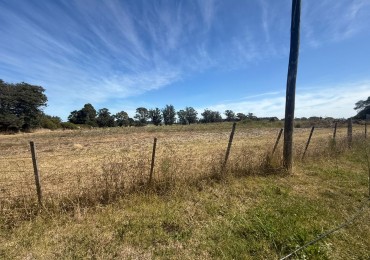 VENTA | Fraccion de campo con plantacion de kiwi - Zona Ruta 515 y Antartida Argentina