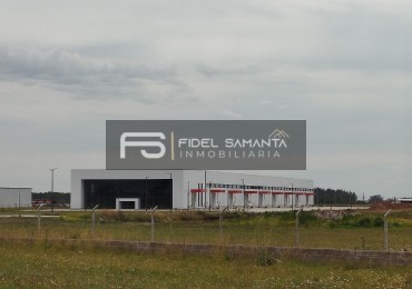 ALQUILER GALPON PREMIUM CON PLAYON SOBRE RUTA 2 MAR DEL PLATA