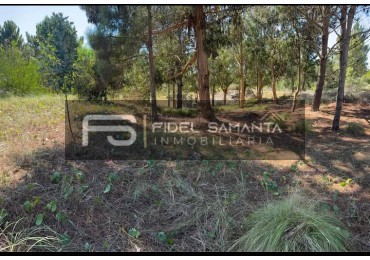 VENTA Gran lote en barrio de categoria Senderos III Costa Esmeralda Pinamar 